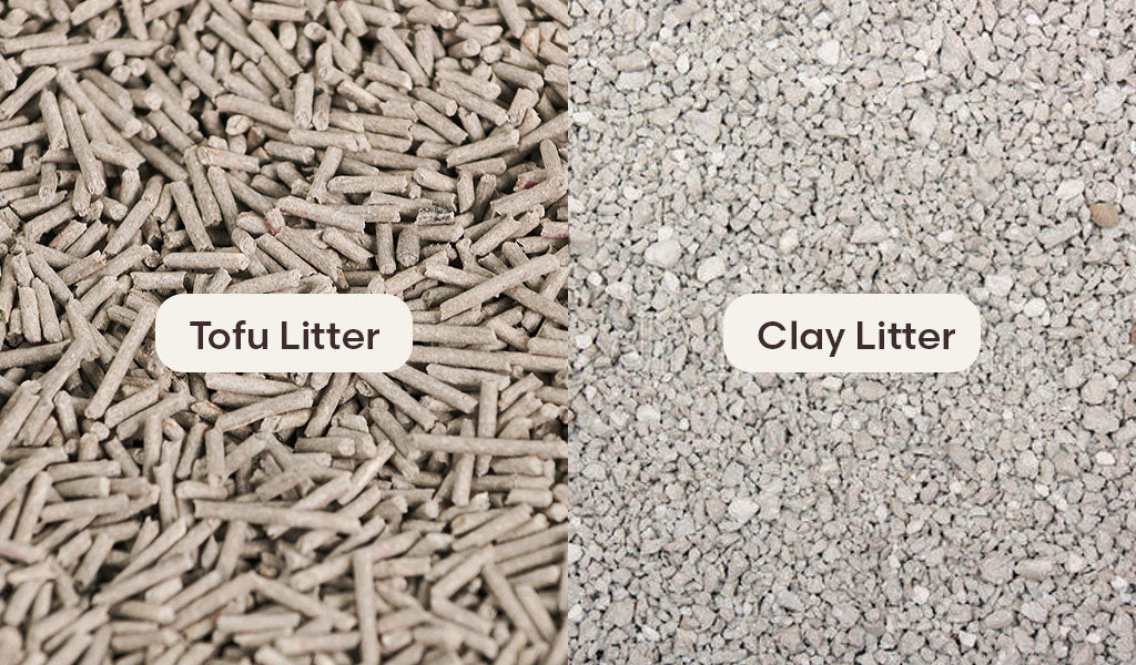The Ultimate Cat Litter Showdown: Bentonite vs. Tofu – PETKIT New Zealand