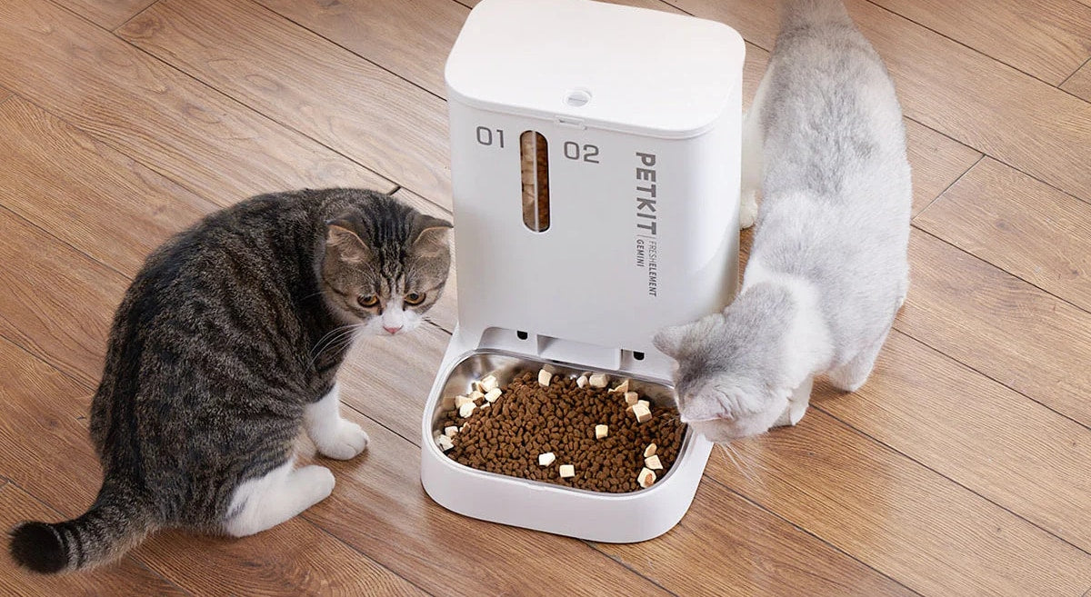 Who Fed The Cat? Simplify Pet Care With An Automatic Pet Feeder ...