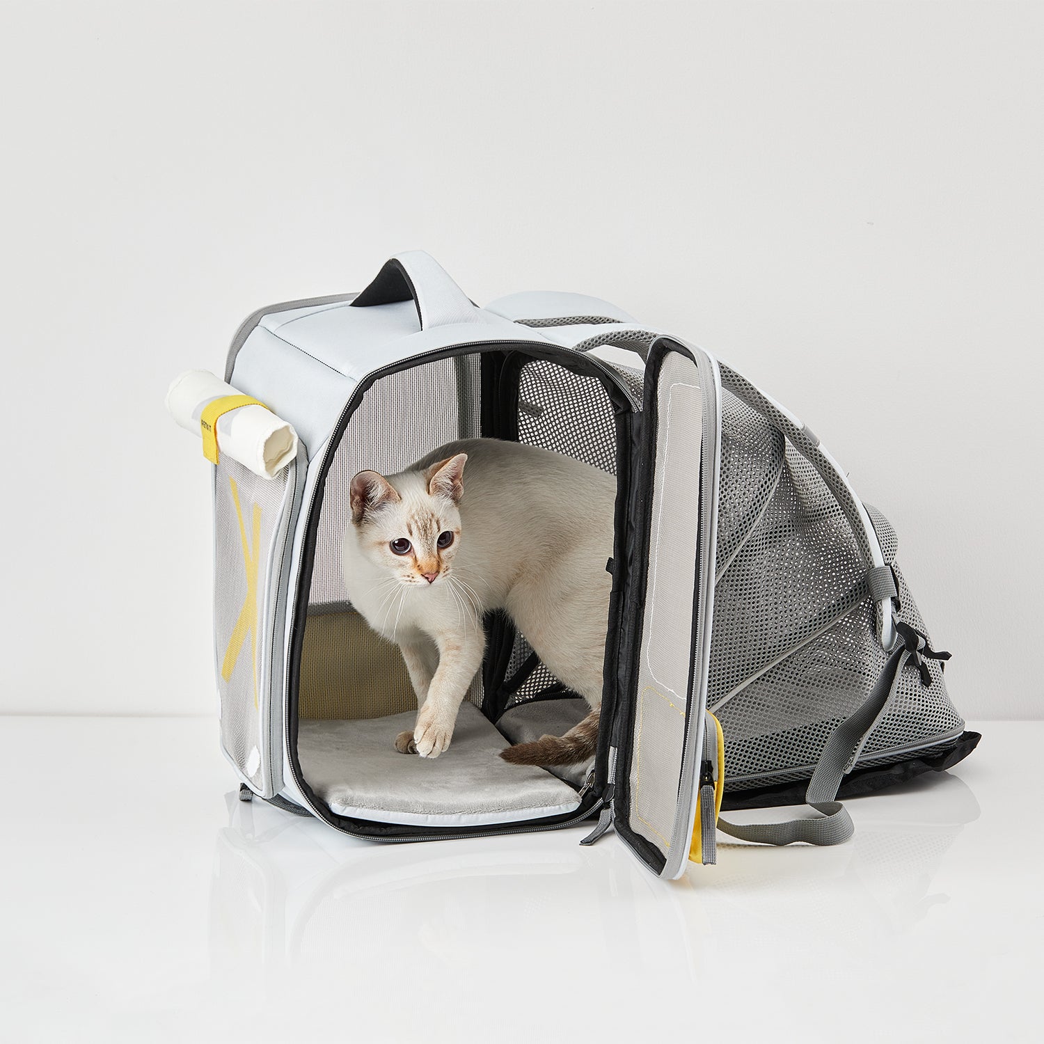 PETKIT Pet Carrier Breezy Zone PETKIT New Zealand